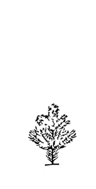 Obtenção das certificações FSC e PEFC