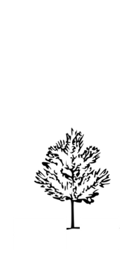 - Aumento da capacidade de secagem/ tratamento HT - Início da produção de pellets (Omnipellets) - Certificação EnPus